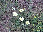 Photo DSC01873.JPG